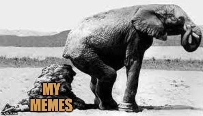 Elephant Poopy | MY MEMES | image tagged in elephant poopy | made w/ Imgflip meme maker
