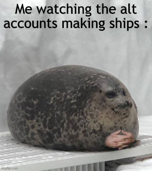 Seal waiting | Me watching the alt accounts making ships : | image tagged in seal waiting | made w/ Imgflip meme maker