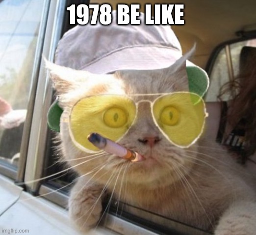 Fear And Loathing Cat Meme | 1978 BE LIKE | image tagged in memes,fear and loathing cat | made w/ Imgflip meme maker