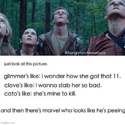 i found this on pinterest so it's not mine and i unfortunately don't know the original creator either | image tagged in hunger games | made w/ Imgflip meme maker