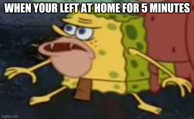 Me | WHEN YOUR LEFT AT HOME FOR 5 MINUTES | image tagged in memes,spongegar | made w/ Imgflip meme maker