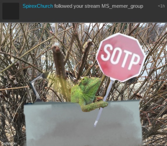 image tagged in lizard sotp | made w/ Imgflip meme maker