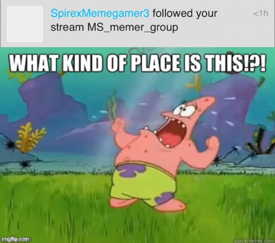 I let my notifications on for streams and THIS had to happen?! | image tagged in what kind of place is this | made w/ Imgflip meme maker