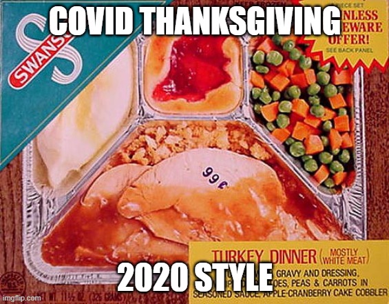 Thanksgiving | COVID THANKSGIVING; 2020 STYLE | image tagged in thanksgiving | made w/ Imgflip meme maker