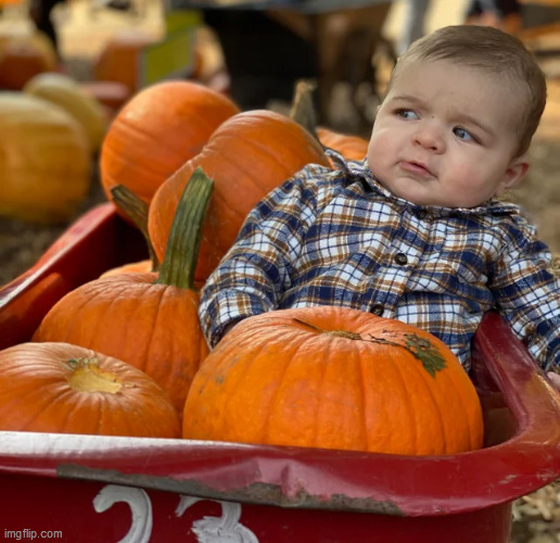 Pumpkin Baby Blank Meme Template