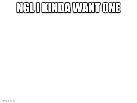 Idk why | NGL I KINDA WANT ONE | image tagged in blank white template | made w/ Imgflip meme maker