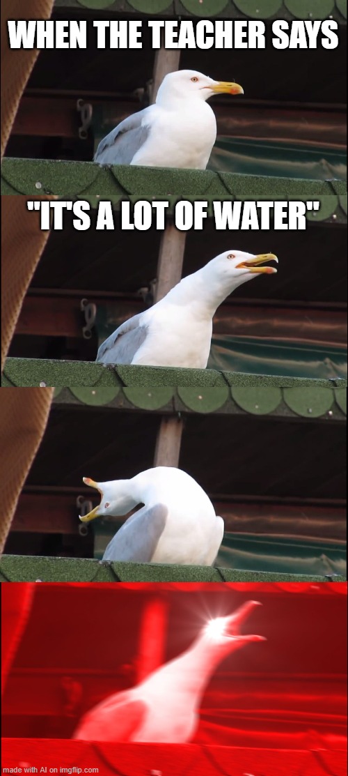 ...? | WHEN THE TEACHER SAYS; "IT'S A LOT OF WATER" | image tagged in memes,inhaling seagull | made w/ Imgflip meme maker