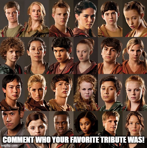 COMMENT WHO YOUR FAVORITE TRIBUTE WAS! | image tagged in hunger games | made w/ Imgflip meme maker