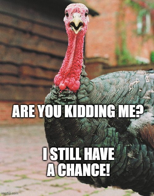 Turkey Learns About Thanksgiving Cancelations | ARE YOU KIDDING ME? I STILL HAVE A CHANCE! | image tagged in coronavirus,pandemic,thanksgiving,turkey day,freedom,pardon | made w/ Imgflip meme maker