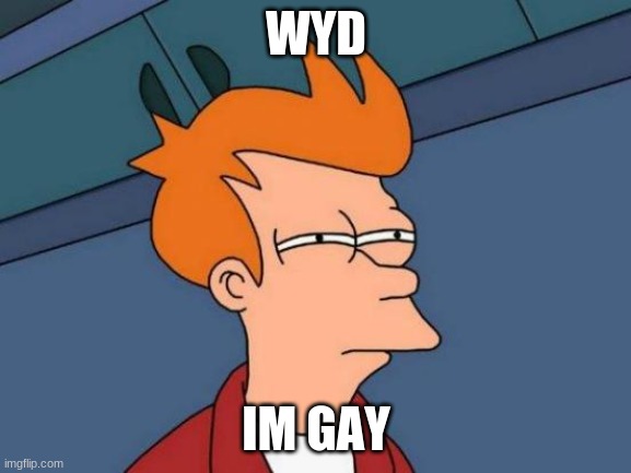 gayyyy | WYD; IM GAY | image tagged in memes,futurama fry | made w/ Imgflip meme maker