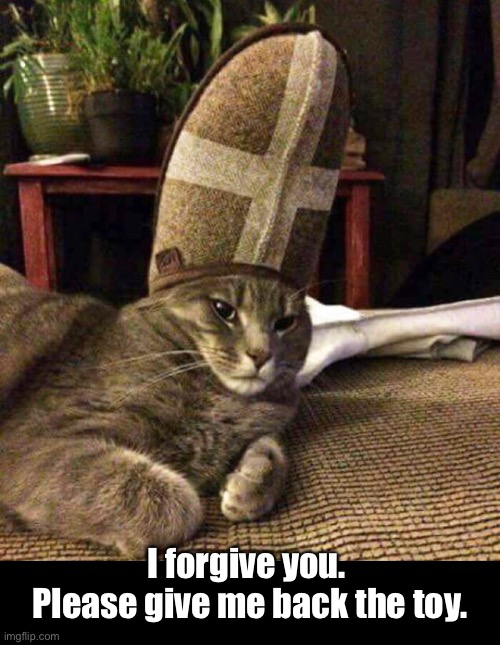 The Pope | I forgive you. 
Please give me back the toy. | image tagged in funny memes,funny cat memes,funny,cats,funny cats | made w/ Imgflip meme maker