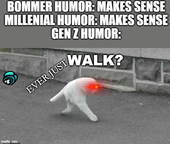 BOMMER HUMOR: MAKES SENSE
MILLENIAL HUMOR: MAKES SENSE
GEN Z HUMOR:; WALK? EVER JUST | image tagged in cat,gen z | made w/ Imgflip meme maker