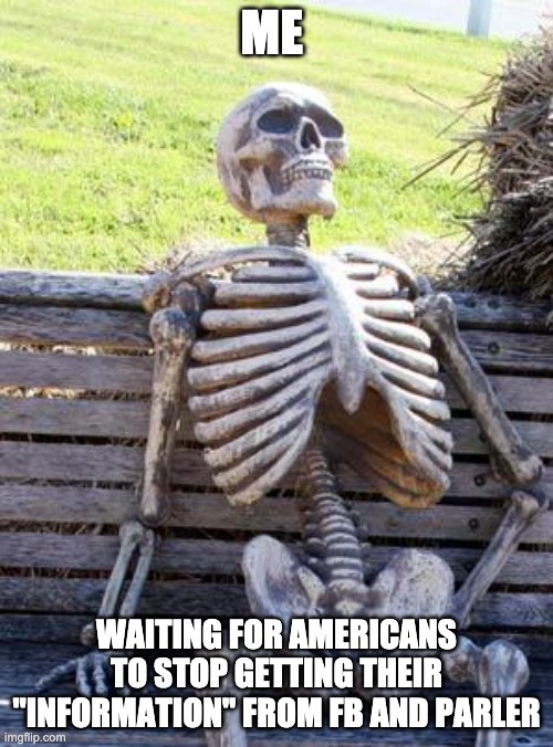 Waiting Skeleton | ME; WAITING FOR AMERICANS TO STOP GETTING THEIR "INFORMATION" FROM FB AND PARLER | image tagged in memes,waiting skeleton | made w/ Imgflip meme maker