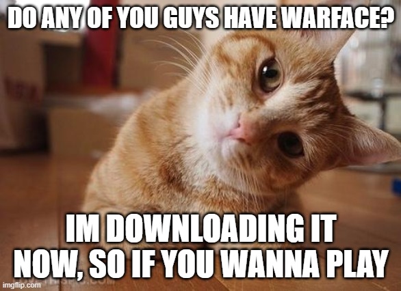 Curious Question Cat | DO ANY OF YOU GUYS HAVE WARFACE? IM DOWNLOADING IT NOW, SO IF YOU WANNA PLAY | image tagged in curious question cat | made w/ Imgflip meme maker