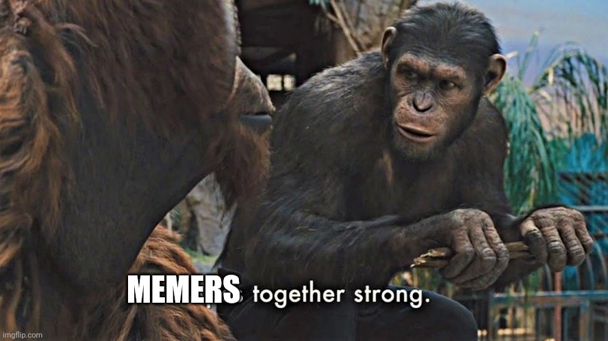 Ape together strong | MEMERS | image tagged in ape together strong | made w/ Imgflip meme maker
