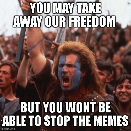 for the memes | YOU MAY TAKE AWAY OUR FREEDOM; BUT YOU WONT BE ABLE TO STOP THE MEMES | image tagged in memes funny | made w/ Imgflip meme maker