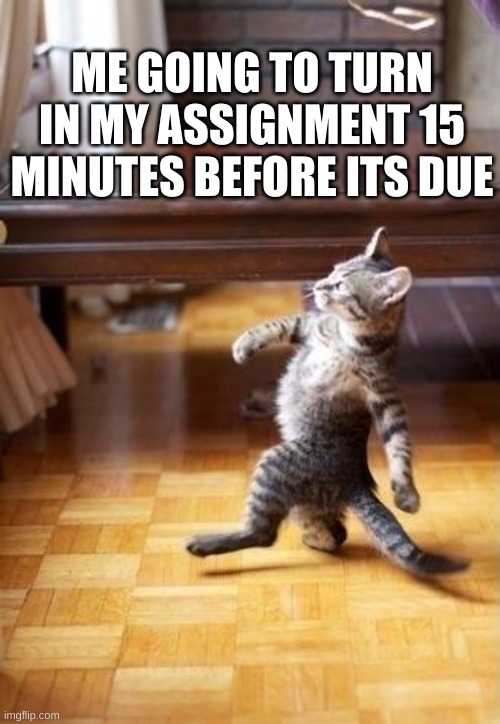 Cool Cat Stroll | ME GOING TO TURN IN MY ASSIGNMENT 15 MINUTES BEFORE ITS DUE | image tagged in memes,cool cat stroll | made w/ Imgflip meme maker