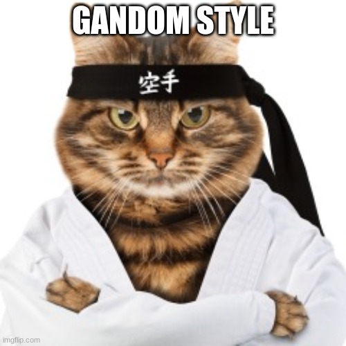 Karate cat | GANDOM STYLE | image tagged in karate cat | made w/ Imgflip meme maker