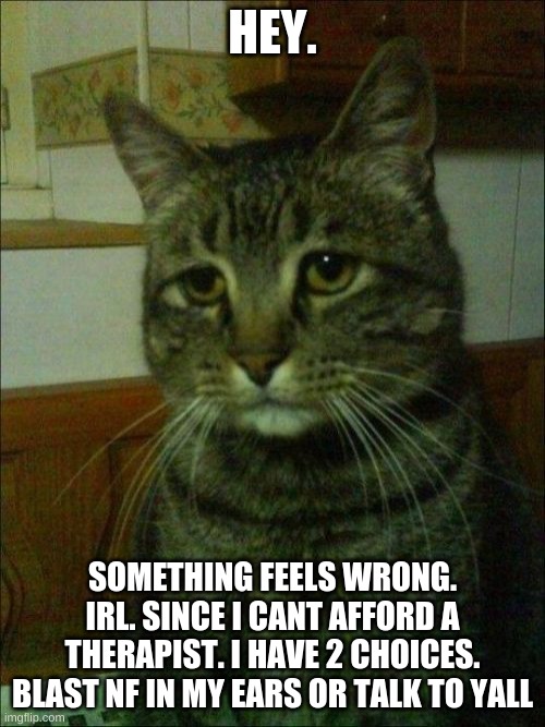 Depressed Cat | HEY. SOMETHING FEELS WRONG. IRL. SINCE I CANT AFFORD A THERAPIST. I HAVE 2 CHOICES. BLAST NF IN MY EARS OR TALK TO YALL | image tagged in memes,depressed cat | made w/ Imgflip meme maker