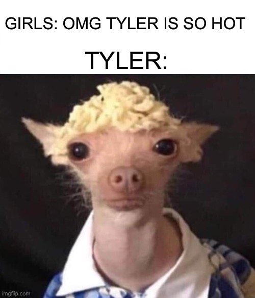 Hey guys it’s me Tyler | GIRLS: OMG TYLER IS SO HOT; TYLER: | image tagged in tyler,funny | made w/ Imgflip meme maker