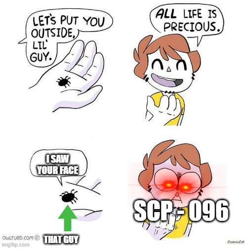 NEVER look at SCP-096's face | I SAW YOUR FACE; SCP - 096; THAT GUY | image tagged in all life is precious | made w/ Imgflip meme maker