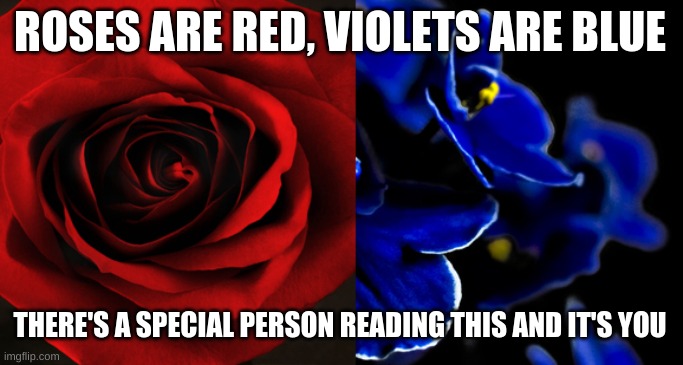 :3 | ROSES ARE RED, VIOLETS ARE BLUE; THERE'S A SPECIAL PERSON READING THIS AND IT'S YOU | image tagged in roses are red violets are blue | made w/ Imgflip meme maker