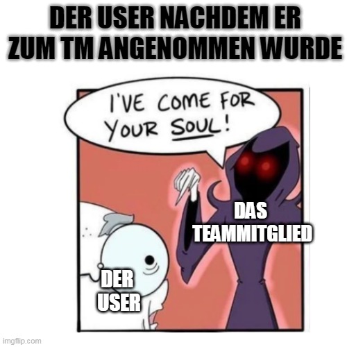 DER USER NACHDEM ER ZUM TM ANGENOMMEN WURDE; DAS TEAMMITGLIED; DER USER | made w/ Imgflip meme maker