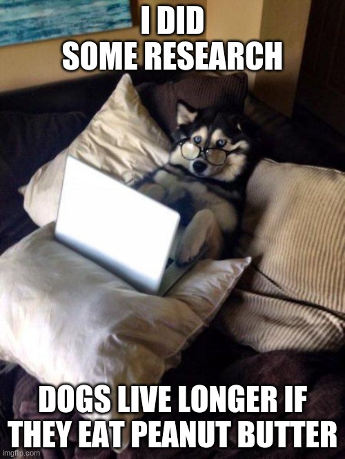 When your dog wants to trick you in give him peanut butter whenever they like | I DID SOME RESEARCH; DOGS LIVE LONGER IF THEY EAT PEANUT BUTTER | image tagged in husky study | made w/ Imgflip meme maker