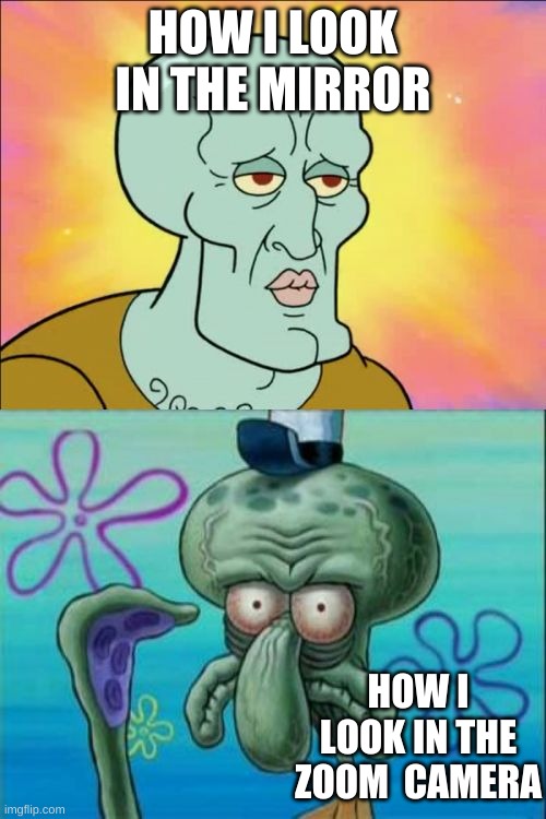 Squidward | HOW I LOOK IN THE MIRROR; HOW I LOOK IN THE ZOOM  CAMERA | image tagged in memes,squidward | made w/ Imgflip meme maker