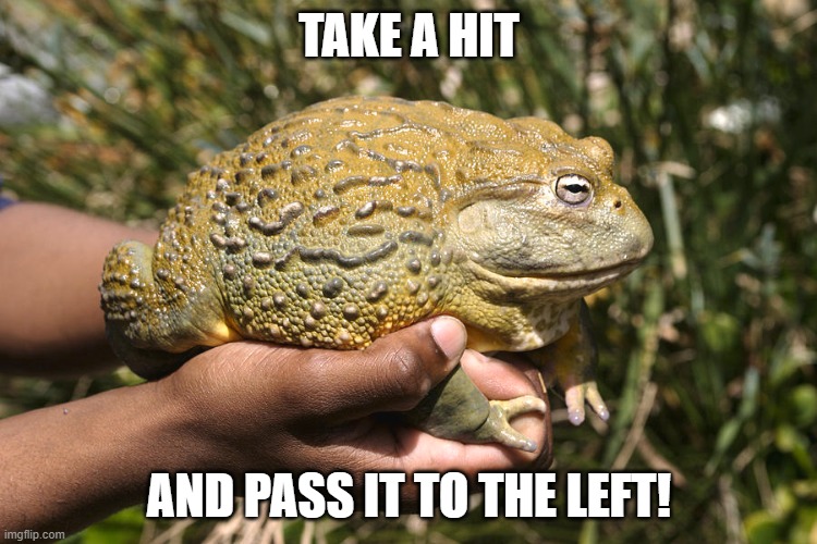 no better time to lick toad | TAKE A HIT; AND PASS IT TO THE LEFT! | image tagged in toad,too damn high,funny memes,lol | made w/ Imgflip meme maker