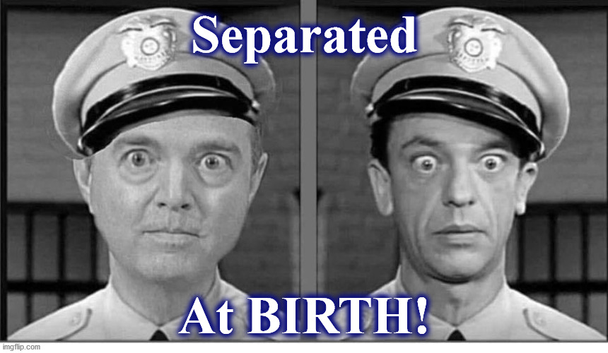 seperated | Separated; At BIRTH! | image tagged in seperated | made w/ Imgflip meme maker