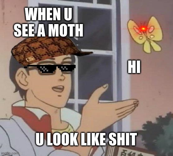 Is This A Pigeon Meme | WHEN U SEE A MOTH; HI; U LOOK LIKE SHIT | image tagged in memes,is this a pigeon | made w/ Imgflip meme maker