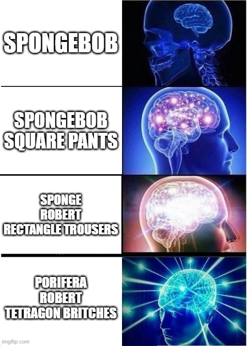 Expanding Brain | SPONGEBOB; SPONGEBOB SQUARE PANTS; SPONGE ROBERT RECTANGLE TROUSERS; PORIFERA ROBERT TETRAGON BRITCHES | image tagged in memes,expanding brain,AdviceAnimals | made w/ Imgflip meme maker
