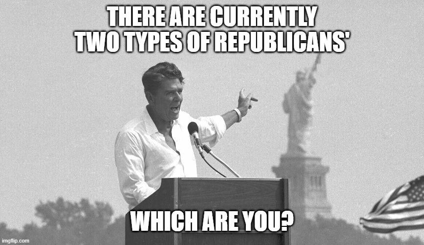 Ronald Reagan using 'maga' | THERE ARE CURRENTLY TWO TYPES OF REPUBLICANS' WHICH ARE YOU? | image tagged in ronald reagan using 'maga' | made w/ Imgflip meme maker
