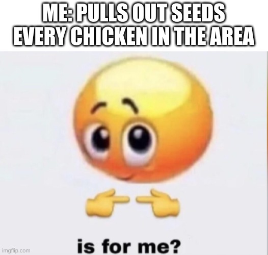 is for me? | ME: PULLS OUT SEEDS
EVERY CHICKEN IN THE AREA | image tagged in is for me,funny memes,memes | made w/ Imgflip meme maker