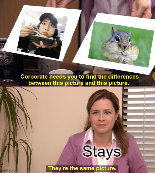 squirrel han | Stays | image tagged in memes,they're the same picture | made w/ Imgflip meme maker