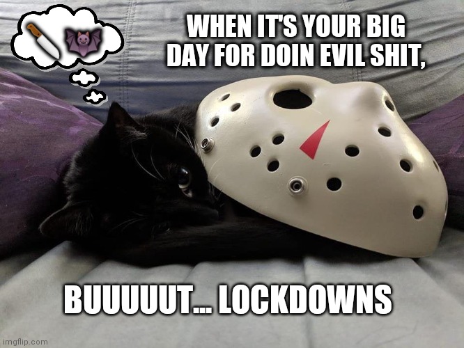 Friday the 13th | WHEN IT'S YOUR BIG DAY FOR DOIN EVIL SHIT, 🔪🦇; BUUUUUT... LOCKDOWNS | image tagged in friday the 13th,oh no black cat,lolz,2020 sucks | made w/ Imgflip meme maker