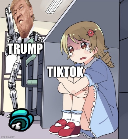 Anime Girl Hiding from Terminator | TIKTOK; TRUMP | image tagged in anime girl hiding from terminator | made w/ Imgflip meme maker