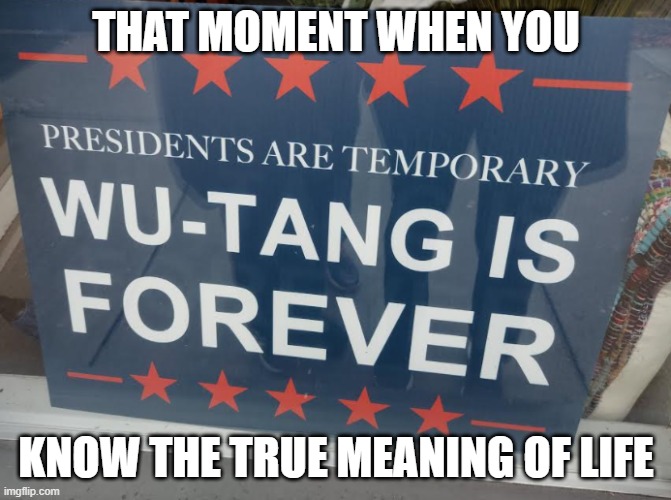 who needs politics when youve got rap | THAT MOMENT WHEN YOU; KNOW THE TRUE MEANING OF LIFE | image tagged in wu-tang clan,rap | made w/ Imgflip meme maker