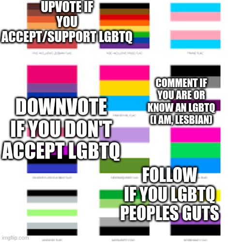 lgbtq | UPVOTE IF YOU ACCEPT/SUPPORT LGBTQ; DOWNVOTE IF YOU DON'T ACCEPT LGBTQ; COMMENT IF YOU ARE OR KNOW AN LGBTQ (I AM, LESBIAN); FOLLOW IF YOU LGBTQ PEOPLES GUTS | image tagged in lgbtq flags | made w/ Imgflip meme maker