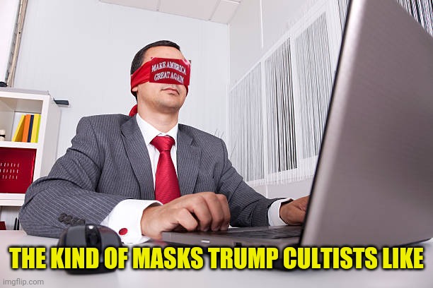 THE KIND OF MASKS TRUMP CULTISTS LIKE | image tagged in maga,love is blind,cult | made w/ Imgflip meme maker