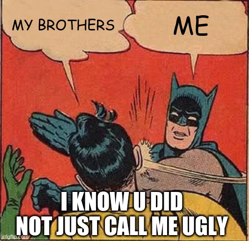 Facts | MY BROTHERS; ME; I KNOW U DID NOT JUST CALL ME UGLY | image tagged in memes,batman slapping robin | made w/ Imgflip meme maker