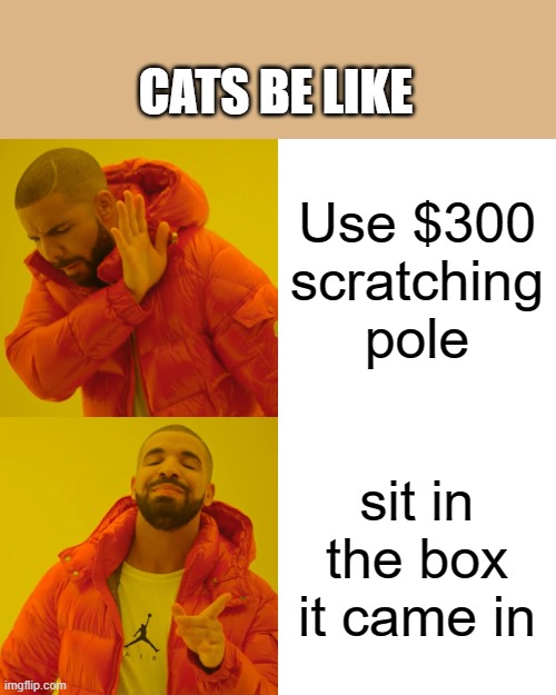 Drake Hotline Bling Meme | CATS BE LIKE; Use $300 scratching pole; sit in the box it came in | image tagged in memes,drake hotline bling | made w/ Imgflip meme maker