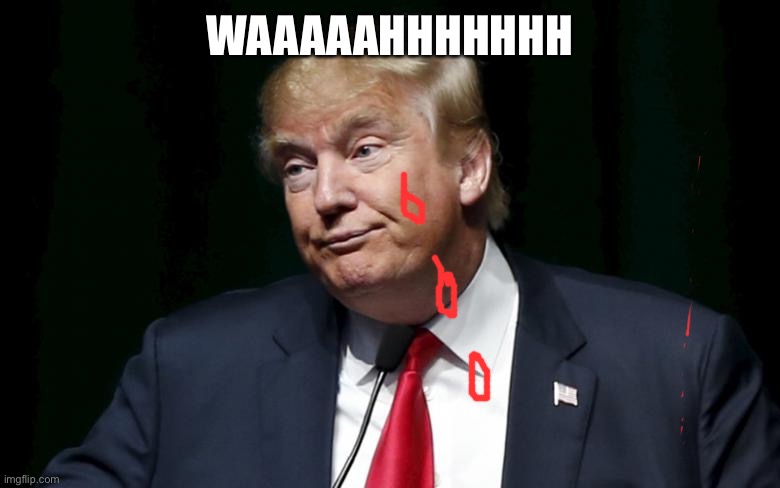 Donald Trump Loser | WAAAAAHHHHHHH | image tagged in donald trump loser | made w/ Imgflip meme maker