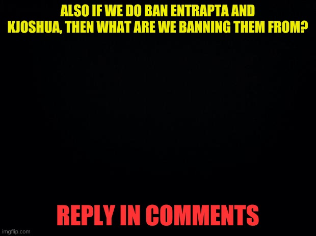 ok 2 | ALSO IF WE DO BAN ENTRAPTA AND KJOSHUA, THEN WHAT ARE WE BANNING THEM FROM? REPLY IN COMMENTS | image tagged in black background | made w/ Imgflip meme maker