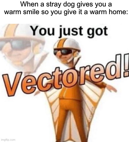 Wholesome vector | When a stray dog gives you a warm smile so you give it a warm home: | image tagged in blank white template,you just got vectored | made w/ Imgflip meme maker