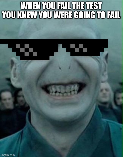 Voldemort Grin | WHEN YOU FAIL THE TEST YOU KNEW YOU WERE GOING TO FAIL | image tagged in voldemort grin | made w/ Imgflip meme maker