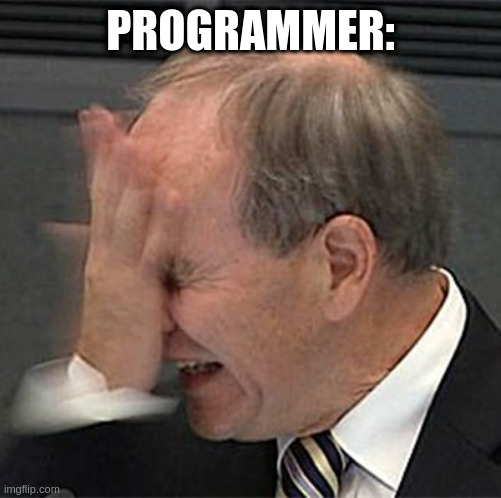 facepalm | PROGRAMMER: | image tagged in facepalm | made w/ Imgflip meme maker
