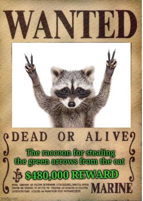 Raccoon the thief | The raccoon for stealing the green arrows from the cat; $480,000 REWARD | image tagged in one piece wanted poster template,comment section,comments,meme comments,meme,comment | made w/ Imgflip meme maker