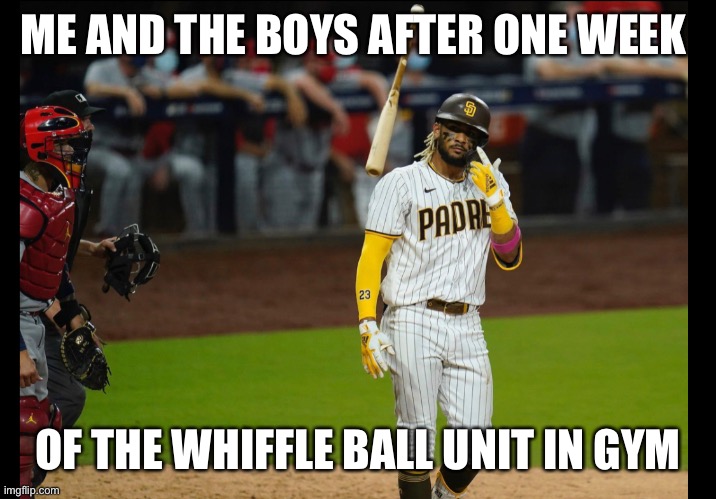 The boys playing whiffle ball | ME AND THE BOYS AFTER ONE WEEK; OF THE WHIFFLE BALL UNIT IN GYM | image tagged in mlb baseball,major league baseball,baseball,gym,funny | made w/ Imgflip meme maker